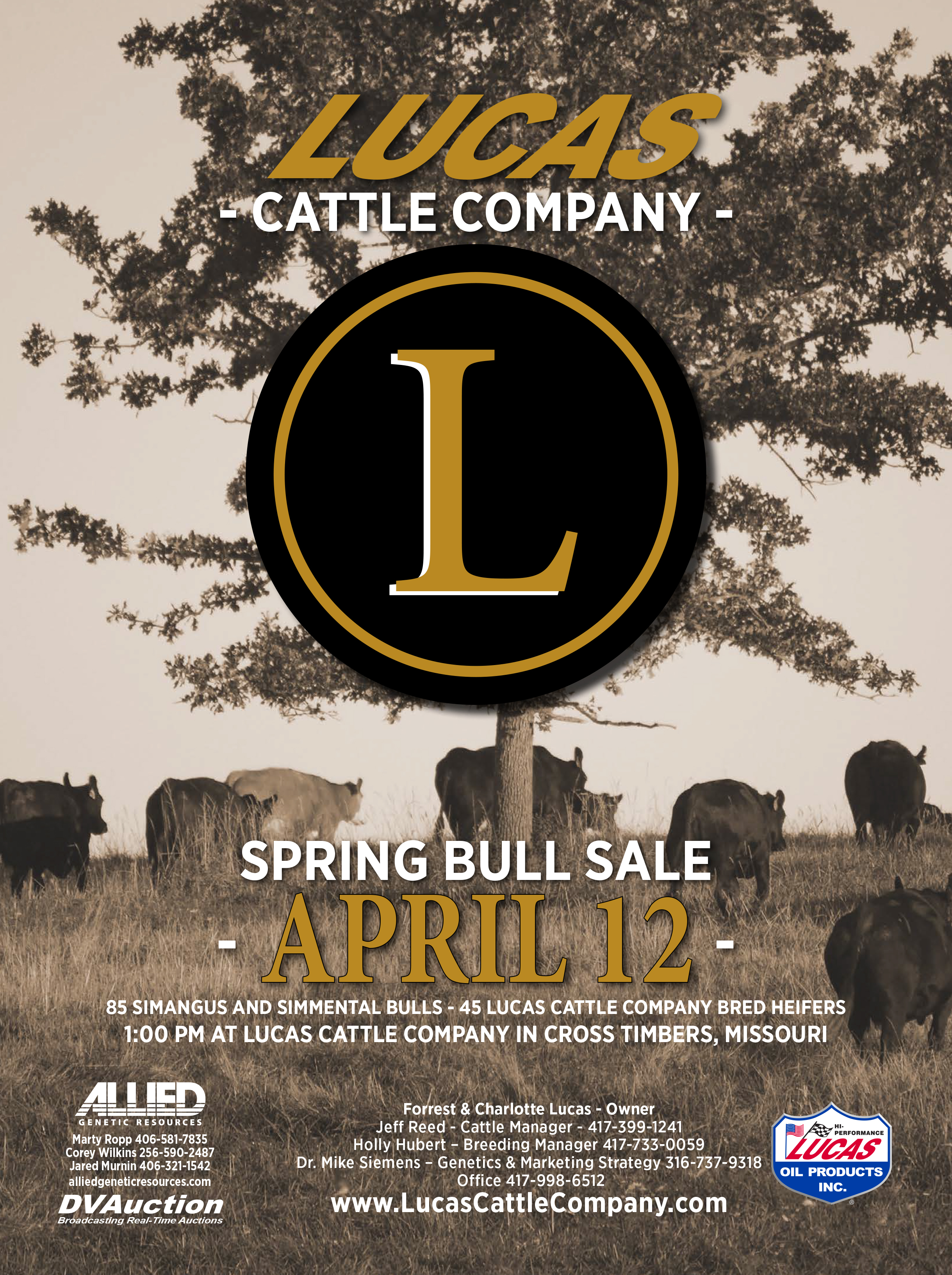 Lucas Cattle Company Simmental and SimAngus Bull Sale - April 12, 2025